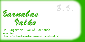 barnabas valko business card